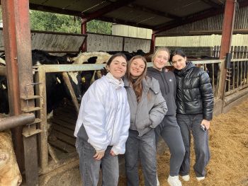 Lycée Professionnel Saint Charles : Voyage en Irlande, journée à la ferme - Ensemble St Charles