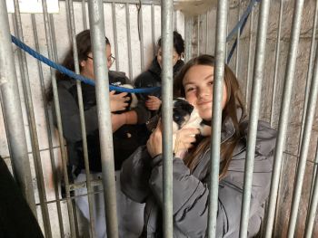 Lycée Professionnel Saint Charles : Voyage en Irlande, journée à la ferme - Ensemble St Charles